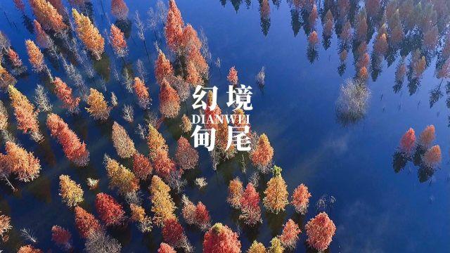重返战场