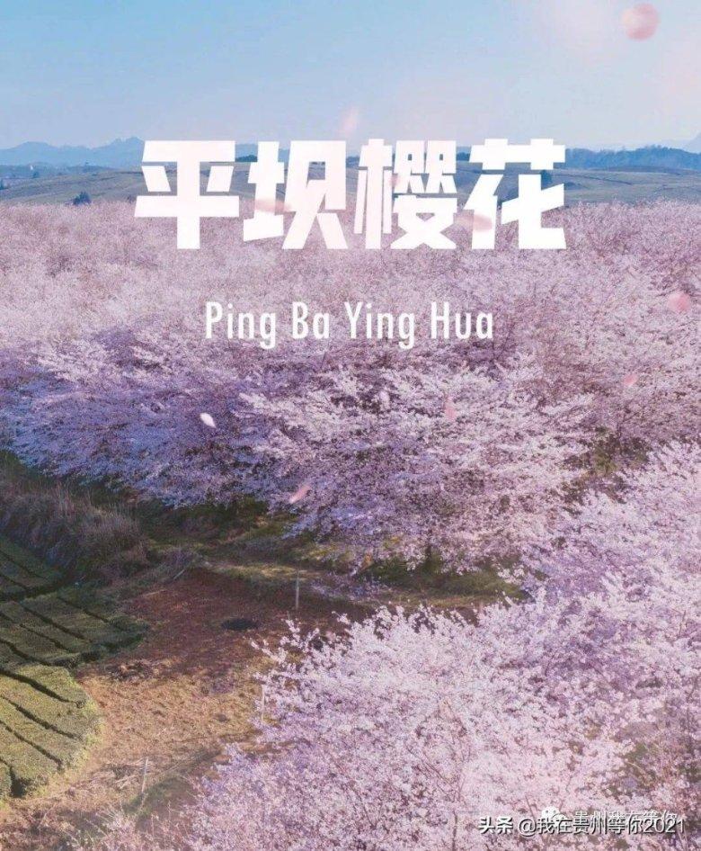 我的矿场