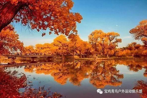 新高达破坏者