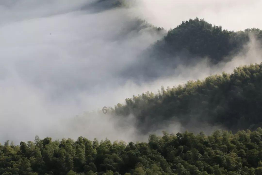 逃离荒凉的地方