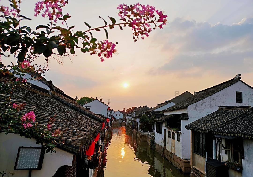 毒舌大师钱钟书，急了连导师一起骂，杨绛：就喜欢他的淘气和痴气