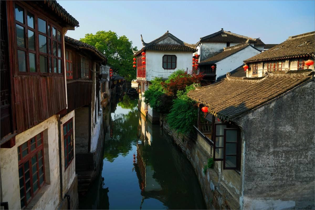 动物家园守卫战